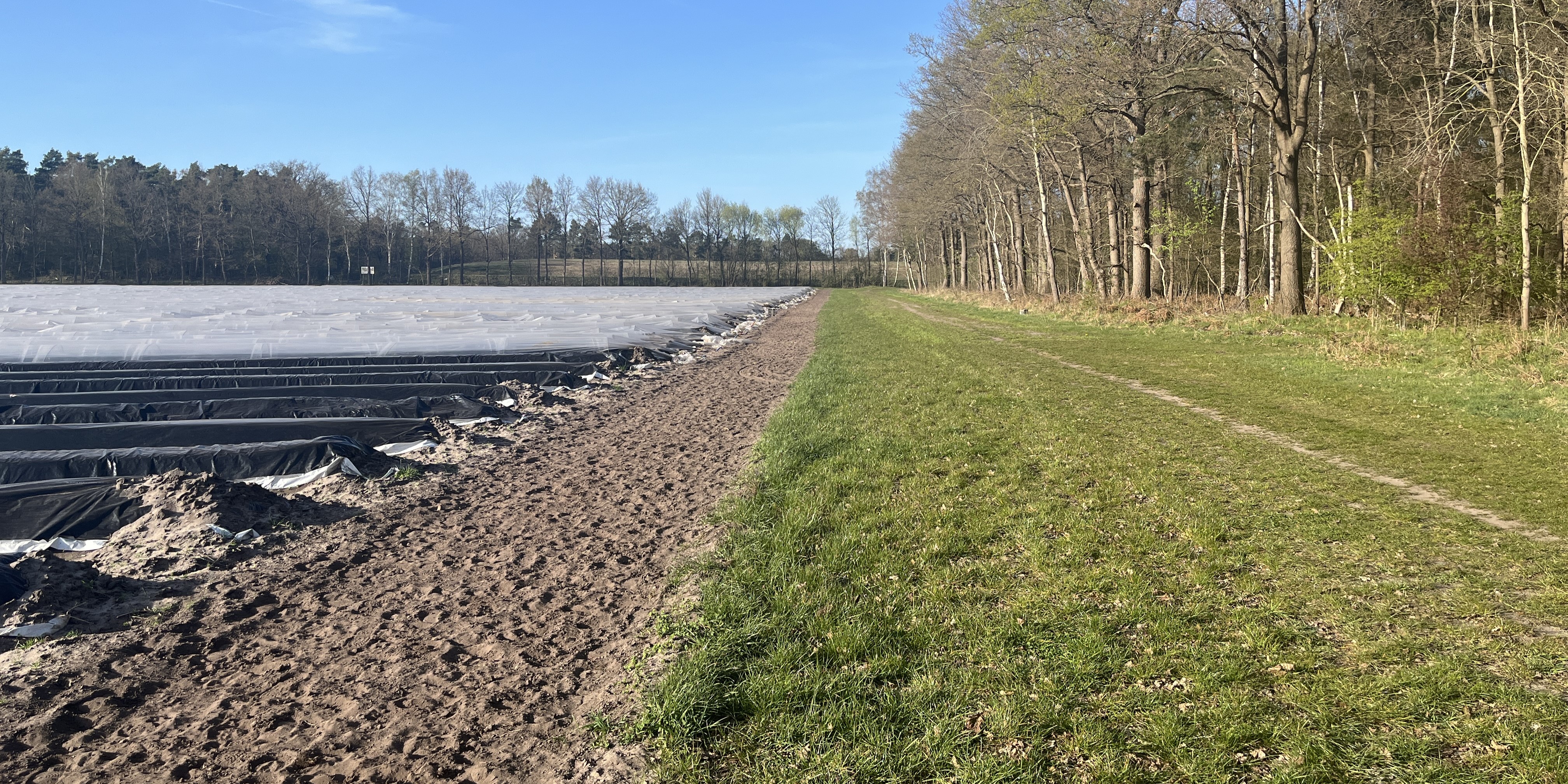 Gelände & Galoppbahn